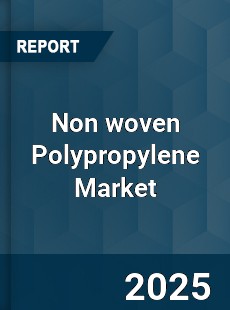 Global Non woven Polypropylene Industry