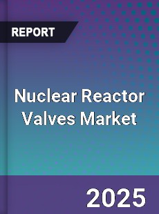 Global Nuclear Reactor Valves Market