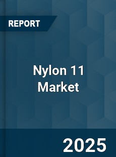 Global Nylon 11 Market