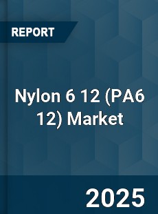 Worldwide Nylon 6 12 Market