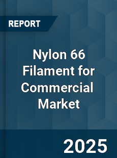 Global Nylon 66 Filament for Commerical Industry