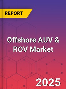 Global Offshore AUV amp ROV Market