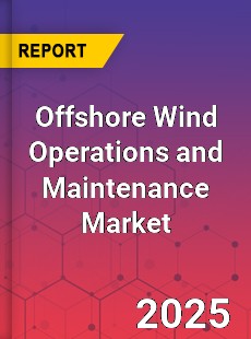Offshore Wind Operations and Maintenance Global and China Top Players Market