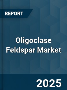 Global Oligoclase Feldspar Market
