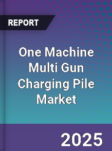One Machine Multi Gun Charging Pile Market