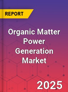 Organic Matter Power Generation Global and China Top Players Market