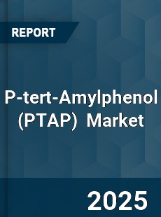 Global P tert Amylphenol Market