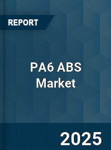 Global PA6 ABS Industry
