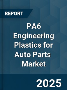 PA6 Engineering Plastics for Auto Parts Global and China Top Players Market