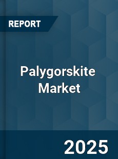 Global Palygorskite Market