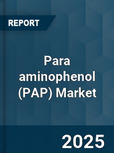 Global Para aminophenol Market
