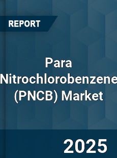 Global Para Nitrochlorobenzene Market