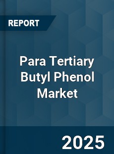 Global Para Tertiary Butyl Phenol Market