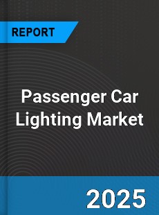 Global and Regional Passenger Car Lighting Industry