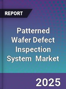 Global Patterned Wafer Defect Inspection System Industry