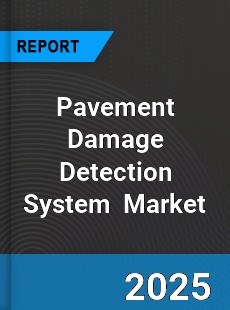 Pavement Damage Detection System Global and China Top Players Market