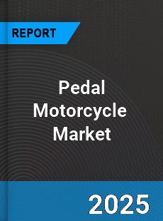 Global Pedal Motorcycle Professional Survey Report