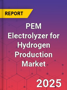 PEM Electrolyzer for Hydrogen Production Market