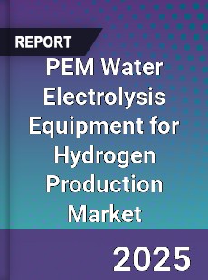 PEM Water Electrolysis Equipment for Hydrogen Production Market