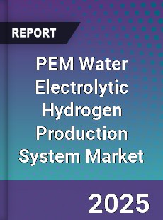 PEM Water Electrolytic Hydrogen Production System Market