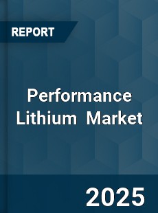 Global Performance Lithium Professional Survey Report