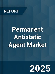 Global Permanent Antistatic Agent Market