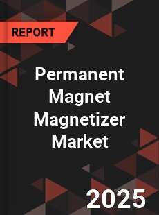 Global Permanent Magnet Magnetizer Market