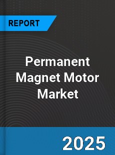 Global Permanent Magnet Motor Market