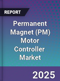 Permanent Magnet Motor Controller Global and China Top Players Market