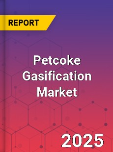 Global Petcoke Gasification Market