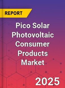 COVID 19 Outbreak Global Pico Solar Photovoltaic Consumer Products Industry