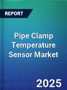Pipe Clamp Temperature Sensor Global and China Top Players Market