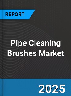 Global Pipe Cleaning Brushes Market