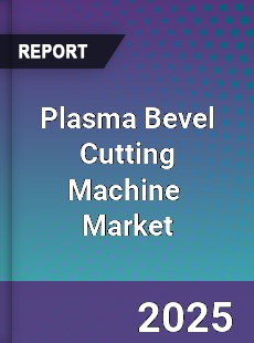 Plasma Bevel Cutting Machine Global and China Top Players Market