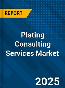 Plating Consulting Services Market