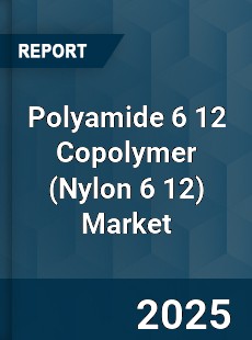 Global Polyamide 6 12 Copolymer Market