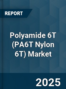 Global Polyamide 6T Market