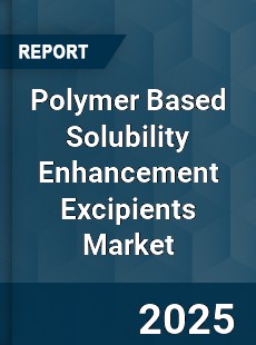 Global Polymer Based Solubility Enhancement Excipients Market
