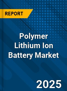 Global Polymer Lithium Ion Battery Market