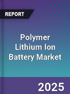 Global Polymer Lithium Ion Battery Market