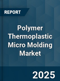 Worldwide Polymer Thermoplastic Micro Molding Market