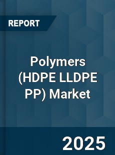 Global Polymers Market