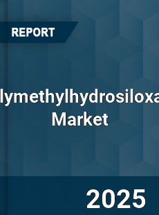 Global Polymethylhydrosiloxane Market