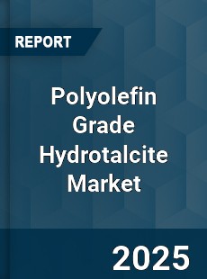 Report on Global Polyolefin Grade Hydrotalcite Market