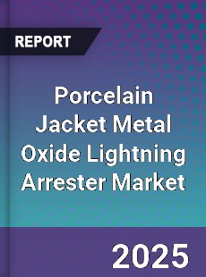 Porcelain Jacket Metal Oxide Lightning Arrester Market