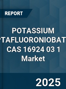 Global POTASSIUM HEPTAFLUORONIOBATE CAS 16924 03 1 Industry