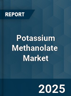 Global Potassium Methanolate Professional Survey Report