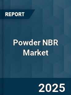 Global Powder NBR Market
