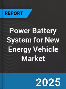 Power Battery System for New Energy Vehicle Market