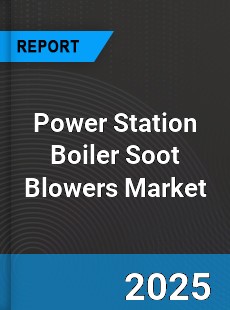 Global Power Station Boiler Soot Blowers Market